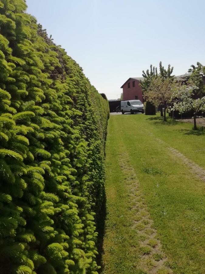 Haeuschen Im Gruenen Villa Jornstorf Екстериор снимка